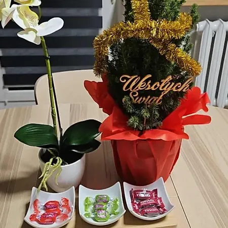 Kozielska Z Balkonem דירה *