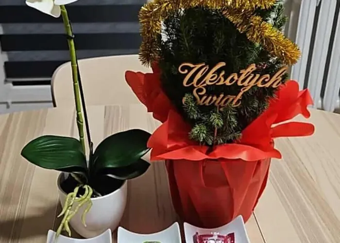 Kozielska Z Balkonem דירה *